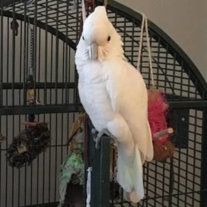 Meet your Posher, Beverly